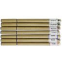 Plantable Ball Pen BG-10 (Pack of 5)